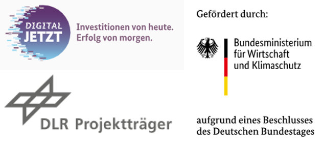 DigitalJetzt-Abbildung-3.png